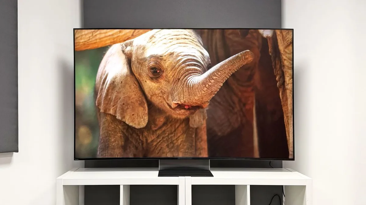  Sony Bravia 9 II (K65XR95M2) 