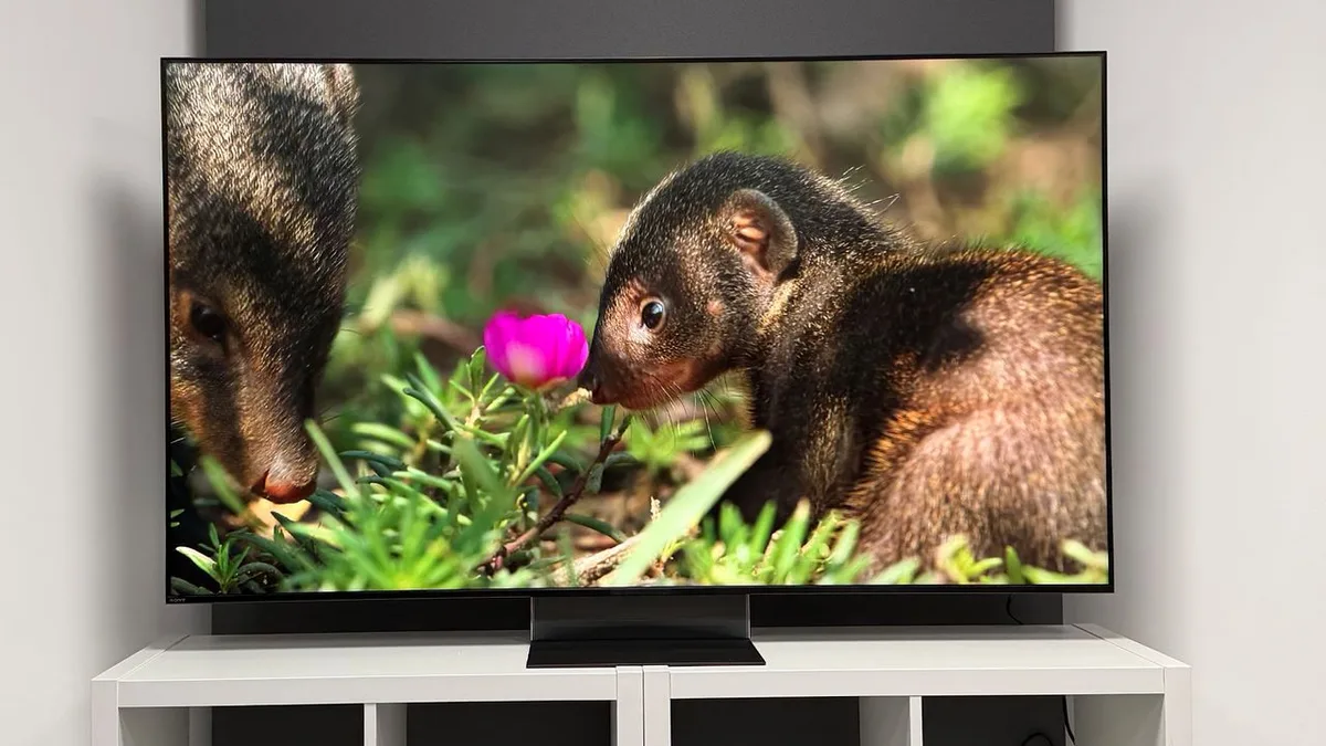  Sony 2026 TV lineup: everything you need to know about the new Bravia range 